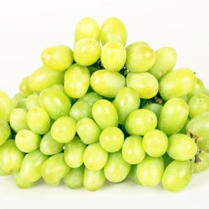 [팜쿡] 고당도 아삭 애플청포도 1kg