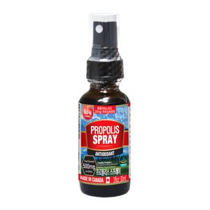 [통라이프][통라이프] 캐나다 프로폴리스 스프레이 30ml(플라보노이드 500mg)1병