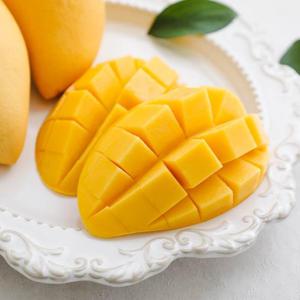 태국 골드 망고 특대과 4kg (8-12과)