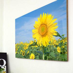 아트박스/꾸밈 ch719-아크릴액자_해바라기풍경3