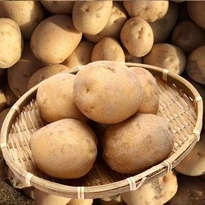 포미식탁 수미감자 햇 감자 왕특 5kg