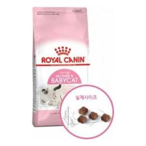 [무료배송] 로얄캐닌 캣 마더 앤 베이비캣 2kg