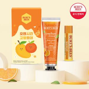 버츠비 오렌지 핸드크림 망고 립밤 세트
