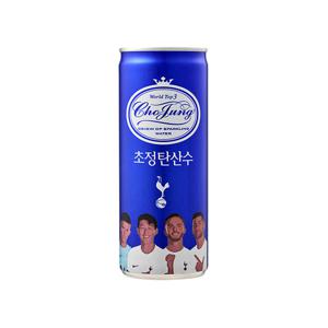 초정탄산수 플레인 250ml 30캔