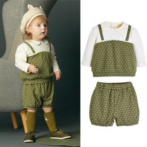 [모이몰른] 그레인블루머상하 M243STB41P