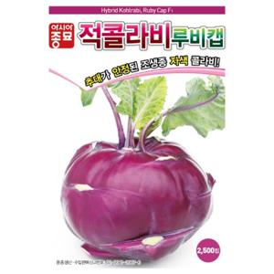 아시아종묘 씨앗 콜라비 루비캡 100립