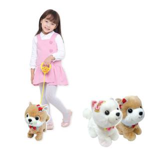 [주영]앉았다 일어나는 몽이콩이