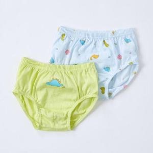 달퐁(구미홈플) HC17 다이노남아팬티 1033222260197