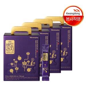 광동 배도라지쌍화스틱 100포 4박스