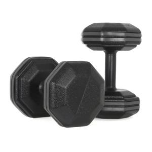 아리프 블랙라인 범퍼 옥타곤 덤벨 10kg 2개 세트