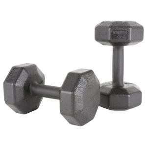 아리프 국산 다이나믹 옥타곤 아령 5kg 2개 세트 덤벨