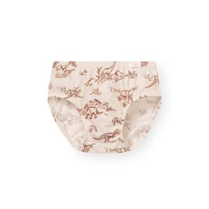 [오르시떼]남아동 G324 디노라인베이지 브리프 OR25ABBRG324