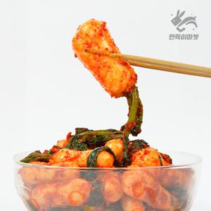 만득이네 국내산 100% 전라도 알타리 총각김치 5kg