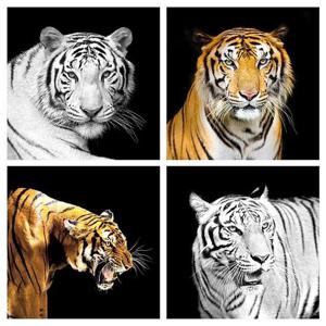[유홍아트]호랑이 그림 사진 액자 정사각 12종 캔버스 액자 3호