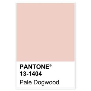 [유홍아트]PANTONE-163 팬톤 파스텔 인테리어 액자 6호(41x27cm)
