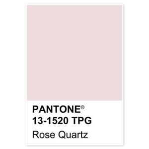[유홍아트]PANTONE-162 팬톤 파스텔 인테리어 액자 6호(41x27cm)