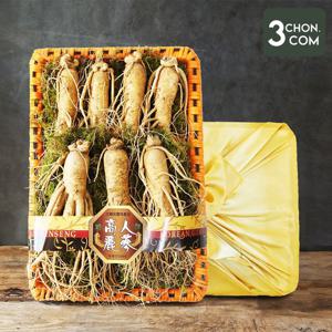 [삼촌밥먹자] 수삼(특대) 1채 선물세트