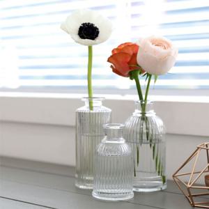 인테리어 스트라이프 투명 유리화병 디퓨저병 인테리어꽃병