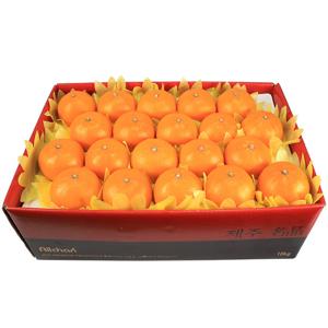 제주 천혜향(특대) 10kg(34~47과)