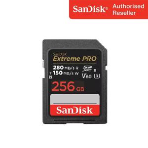 샌디스크 익스트림 프로 SD Card V60 256GB 256기가 메모리 고성능 고해상도 4K UHD지원 안정성최적화 SD카드 Extreme Pro SDSDXEP