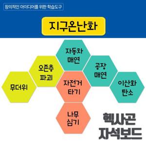 헥사곤 자석보드 코랄