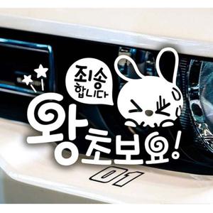 죄송합니다 왕초보요 초보자동차스티커-화이트