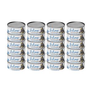 데이스포 필라인 흰살참치와멸치 80g x 24개BOX