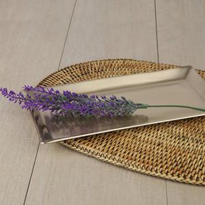 [골든벨]골든벨 아리와 선 유기 생선 접시