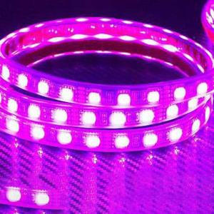 12V 차량 LED 바 핑크 튜브 타입 5M 1롤 자동차 DIY LED헤드램프