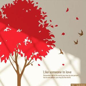 [데코] 사랑에 빠진것처럼 인테리어 스티커 레드 샌디브라운