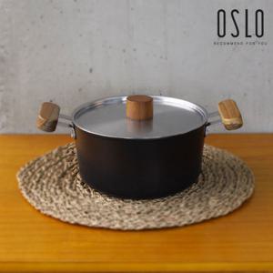 오슬로 인덕션 양수냄비 20cm, IH 냄비