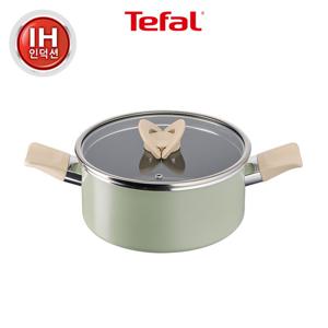 테팔 인덕션 티타늄1X 블라썸 민트 양수냄비 20cm