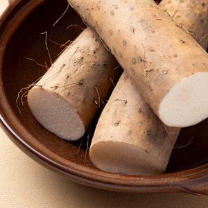 [더조은] 신선한 국내산 장마 1kg 중품