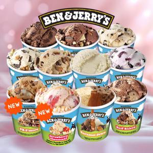 벤앤제리스 파인트 11종 5통 골라담기