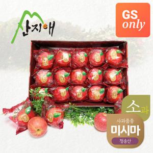 [GS only]산지애 씻어나온 어린이 꿀사과 2.7kg