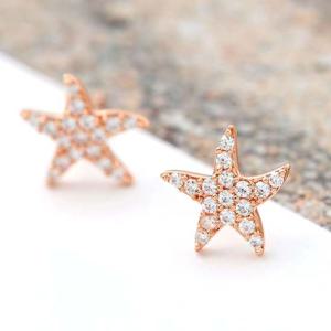 14K 골드필드 핀 큐빅 별 일자침 귀걸이