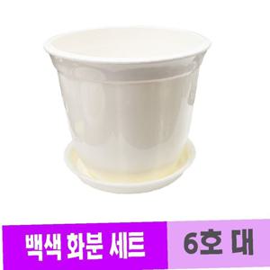 웰빙 광택 원형 백색 화분 세트 받침대포함 6호