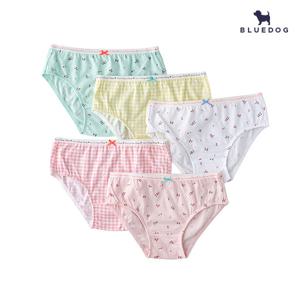 [블루독] 체리 체크 5종 팬티_PK (2491051154)