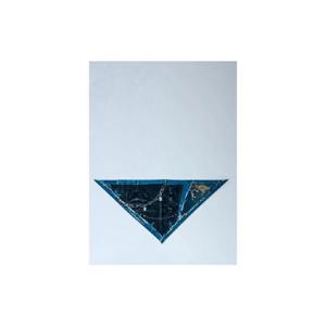 26 SS 아크네 여성 Printed Silk Scarf acn0264010blk