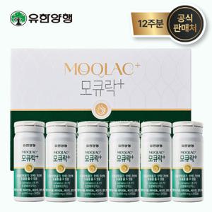 [모발유산균] 모큐락 플러스 LB-P9 와이즈바이옴 24주분