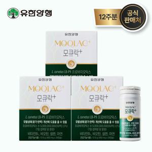 [모발유산균] 모큐락 플러스 LB-P9 와이즈바이옴 12주분