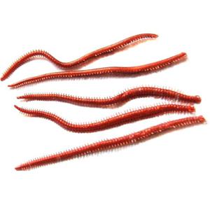 파워웜 바이칼 갯지렁이 웜 홍개비청개비 바다낚시 루어