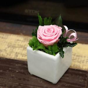 아트박스/더봄 핑크 베이비 / 테이블 데코