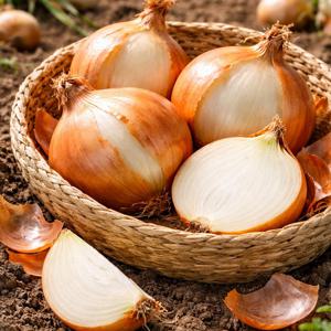 [푸른들] 국내산 양파 10kg 중