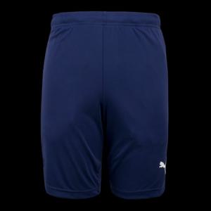 [푸마][루페코리아] 푸마 리가 트레이닝 쇼트 반바지 65531606