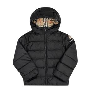 (명품) 8109442 A1189 토마스 베어 로고 패