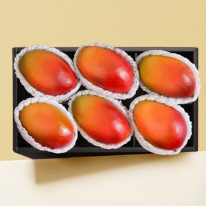 [스윗베러] 애플망고 6과 선물세트 2.1kg내외