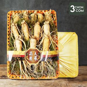 [삼촌밥먹자] 수삼(왕대) 2채 선물세트