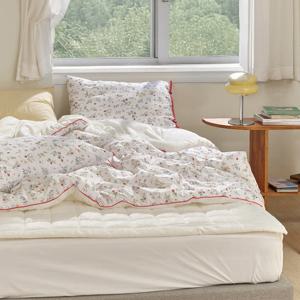 [파르페by알레르망] 마들렌 알러지케어 밍크극세사 다운필 차렵이불패드세트 Q