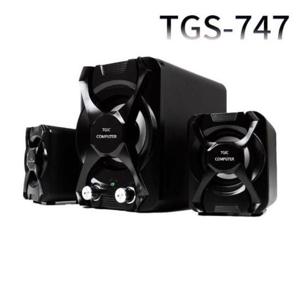 [생활] TGS 2.1채널 우퍼스피커 TGS-747